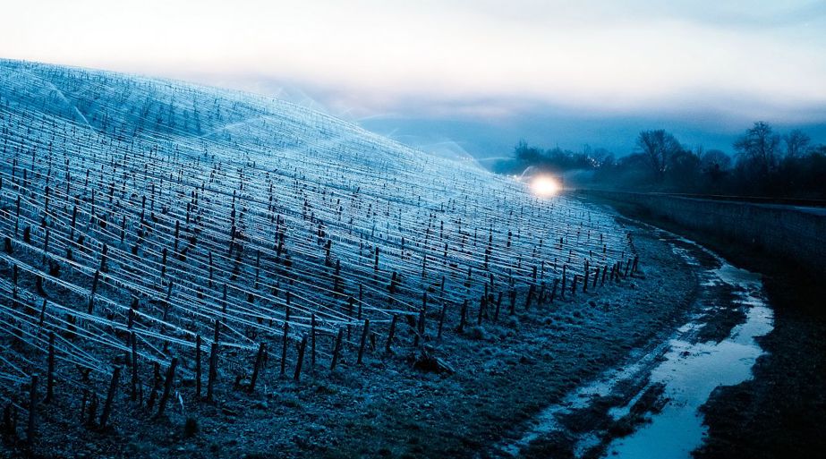 @postitemBillede.Name